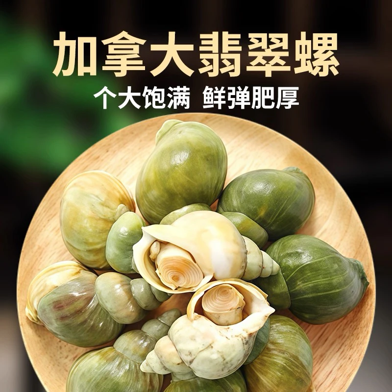翡翠螺熟冻生鲜料理大海螺