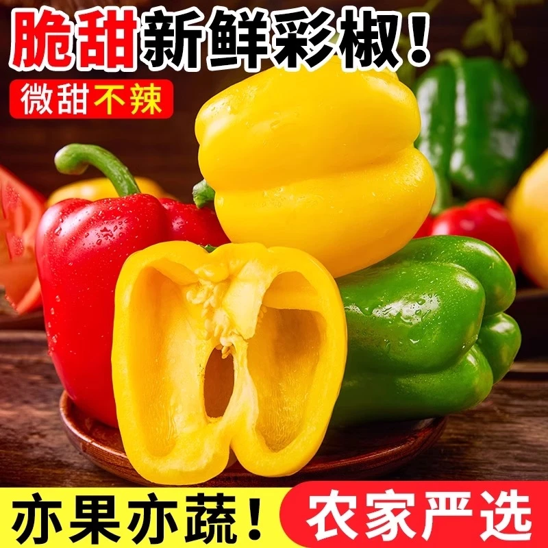 大曼迪水果彩椒生吃新鲜彩椒灯笼椒青椒甜椒绿色圆椒彩色菜椒现摘