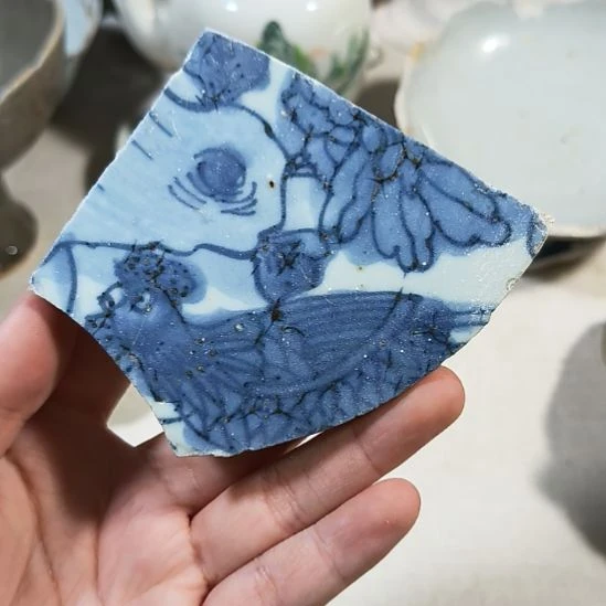 瓷片瓷片瓷片瓷片瓷片