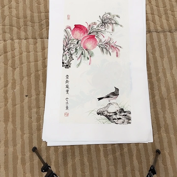 国画花鸟的翅膀和翅膀是一样