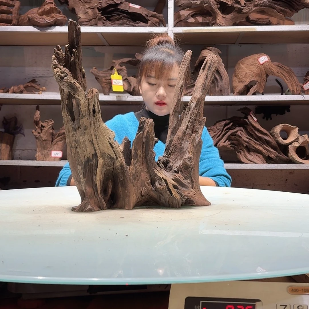 倍储沉木不包损必褪色禁*5084