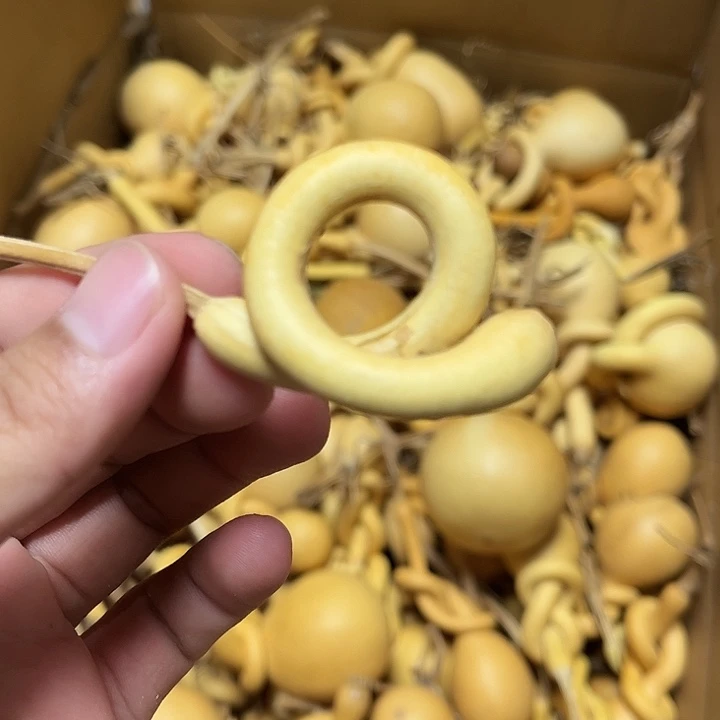一把破葫芦真便宜