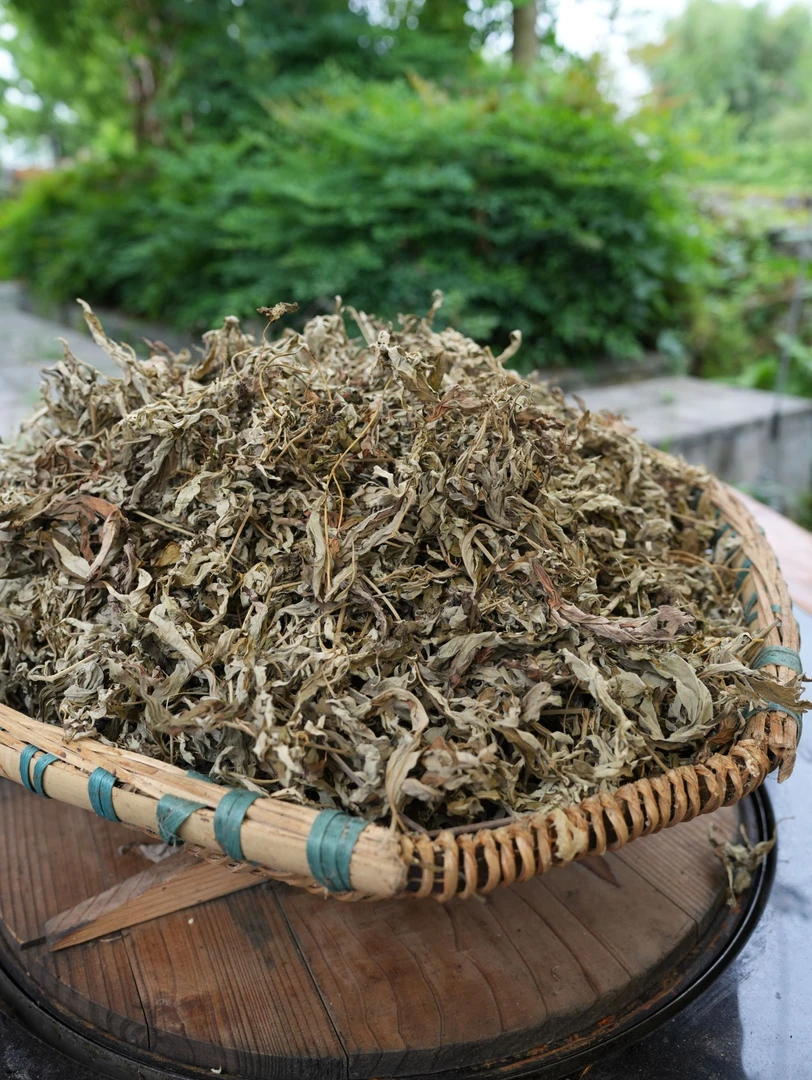 【三老表专属】贵州高原野生艾草陈艾泡脚泡澡