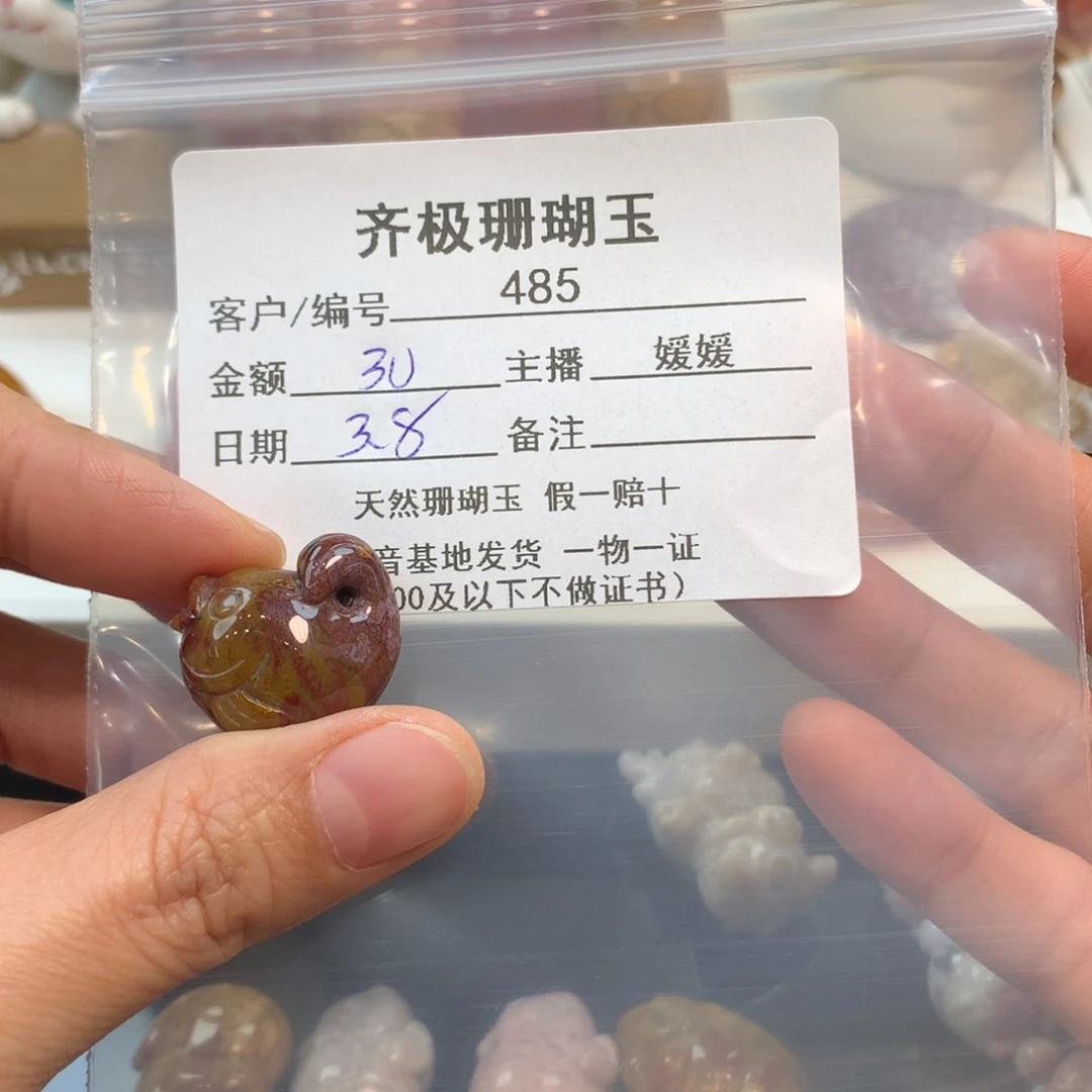 硅化珊瑚（珊瑚玉）颈饰未镶嵌香****晨