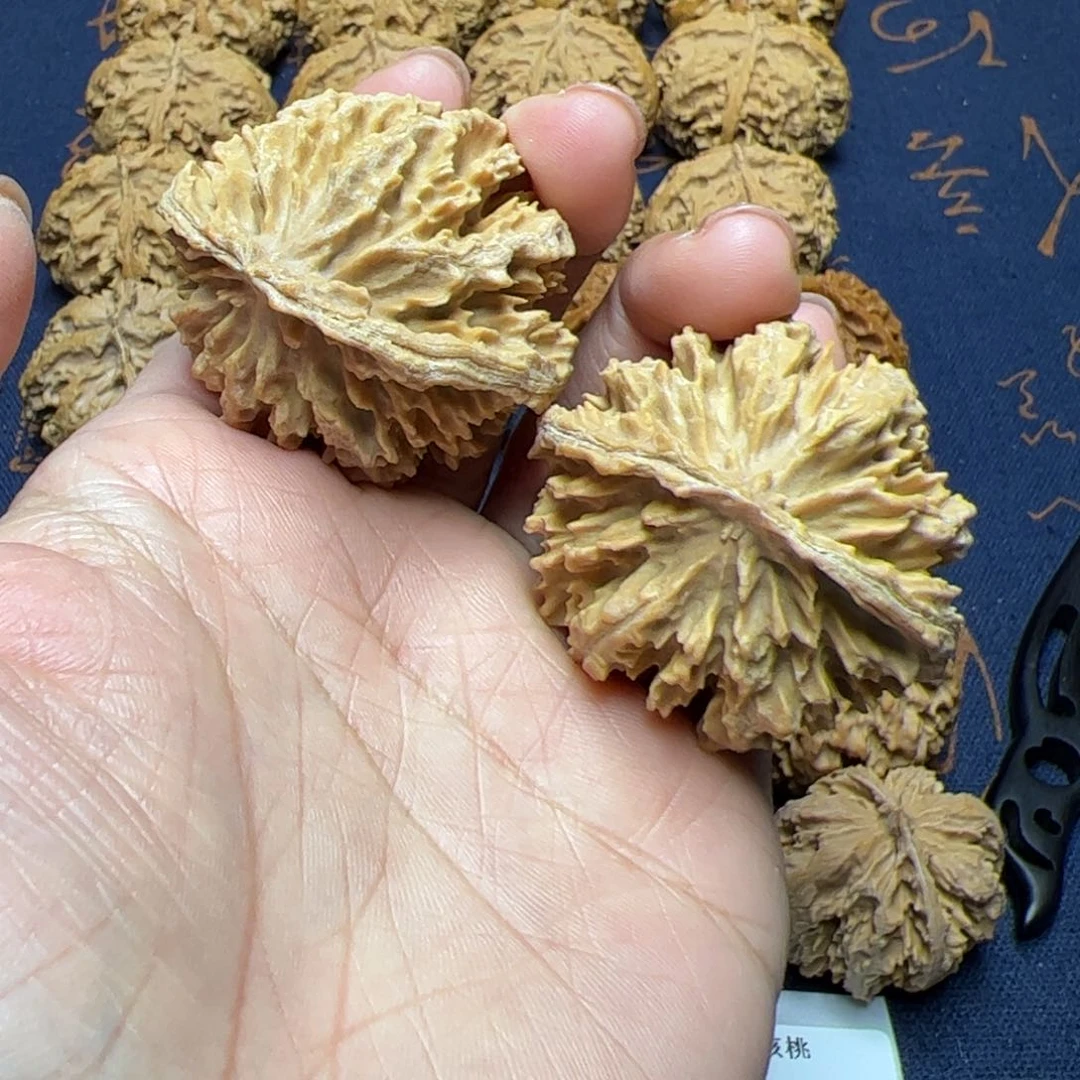 文玩核桃把件秦岭野生植物核桃