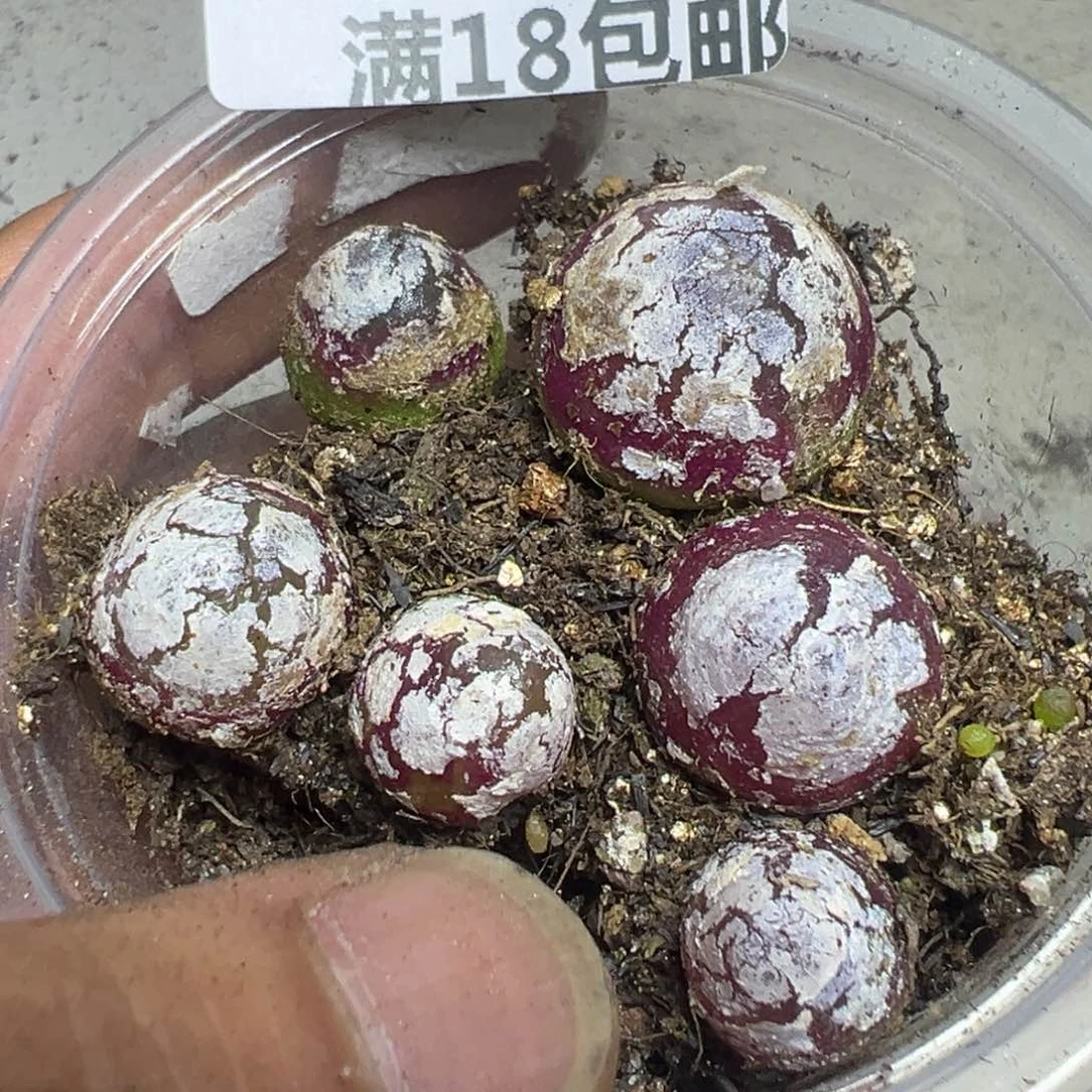 【闪购商品】 367。