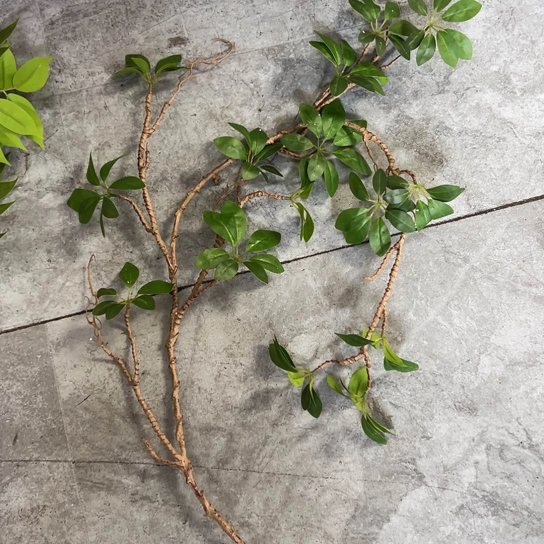 拍样品瑕疵瑕疵瑕疵