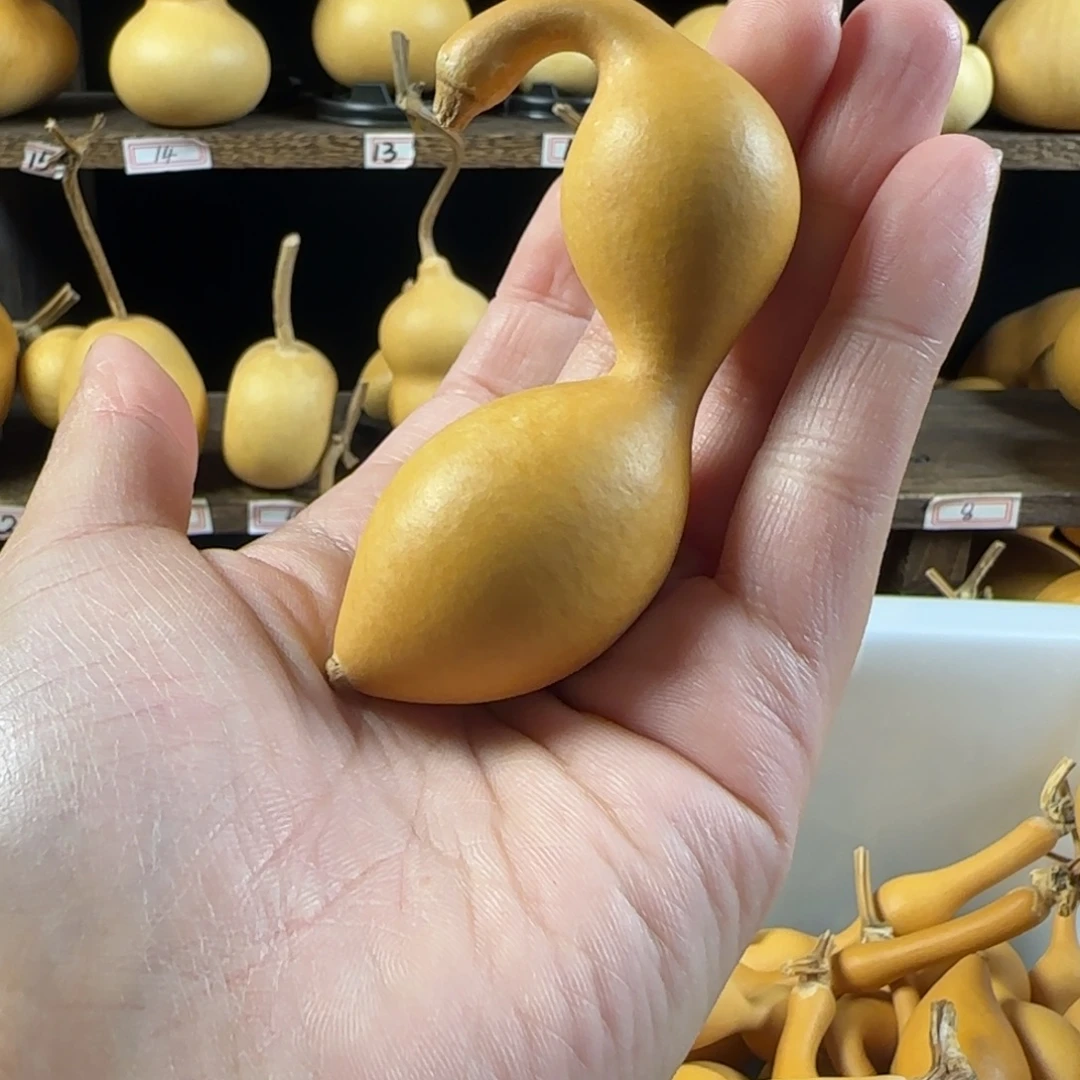 葫芦葫芦葫芦葫芦葫芦葫芦葫芦