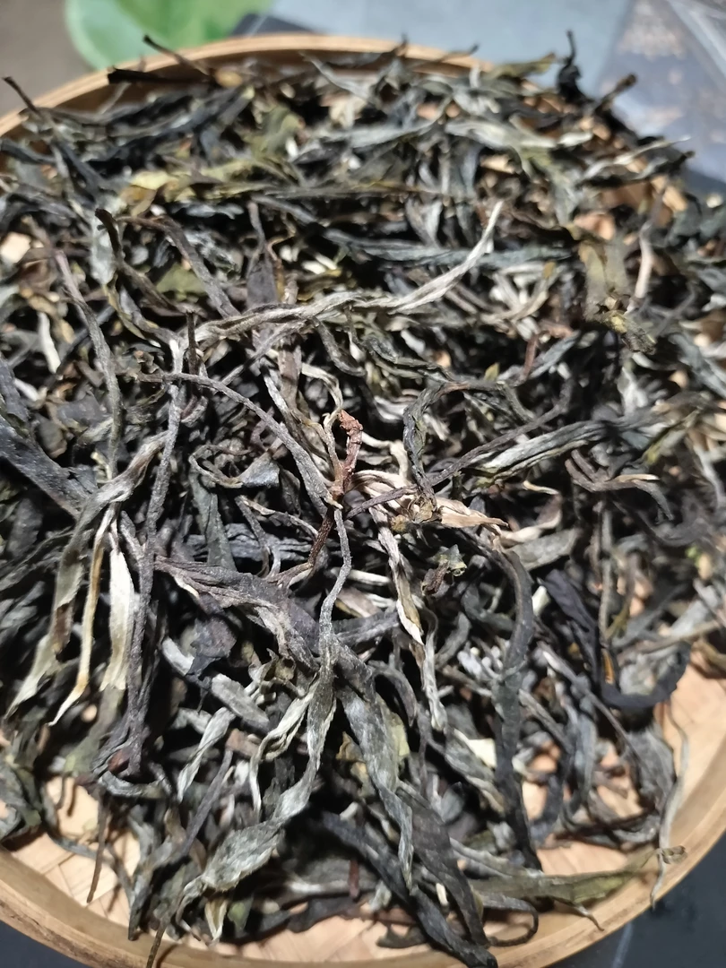 依乐有好茶《森融》（2025年春，大森林里的藤条古树茶）