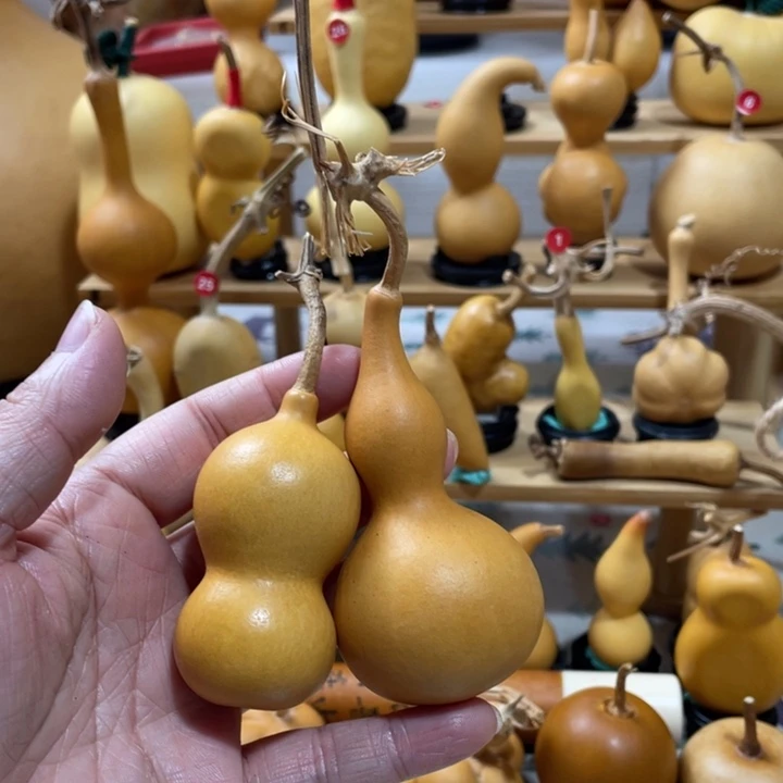 萌**萌5美好的一天从吃瓜开始