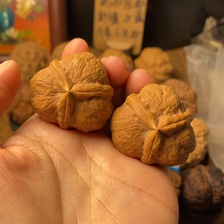 豆***精云南野生铁核桃编号44