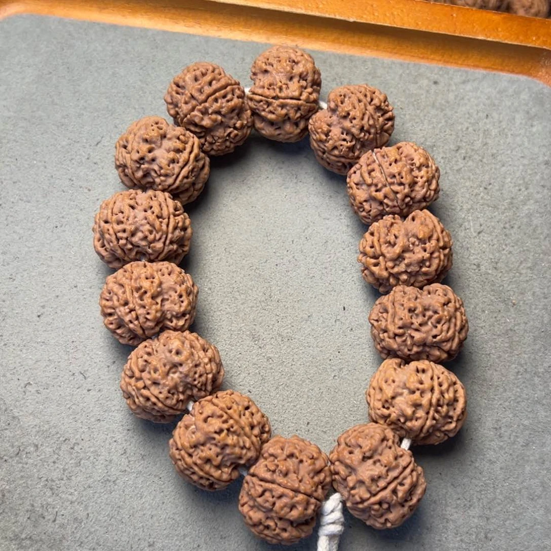 菩提31号金刚菩提原生态梅花24