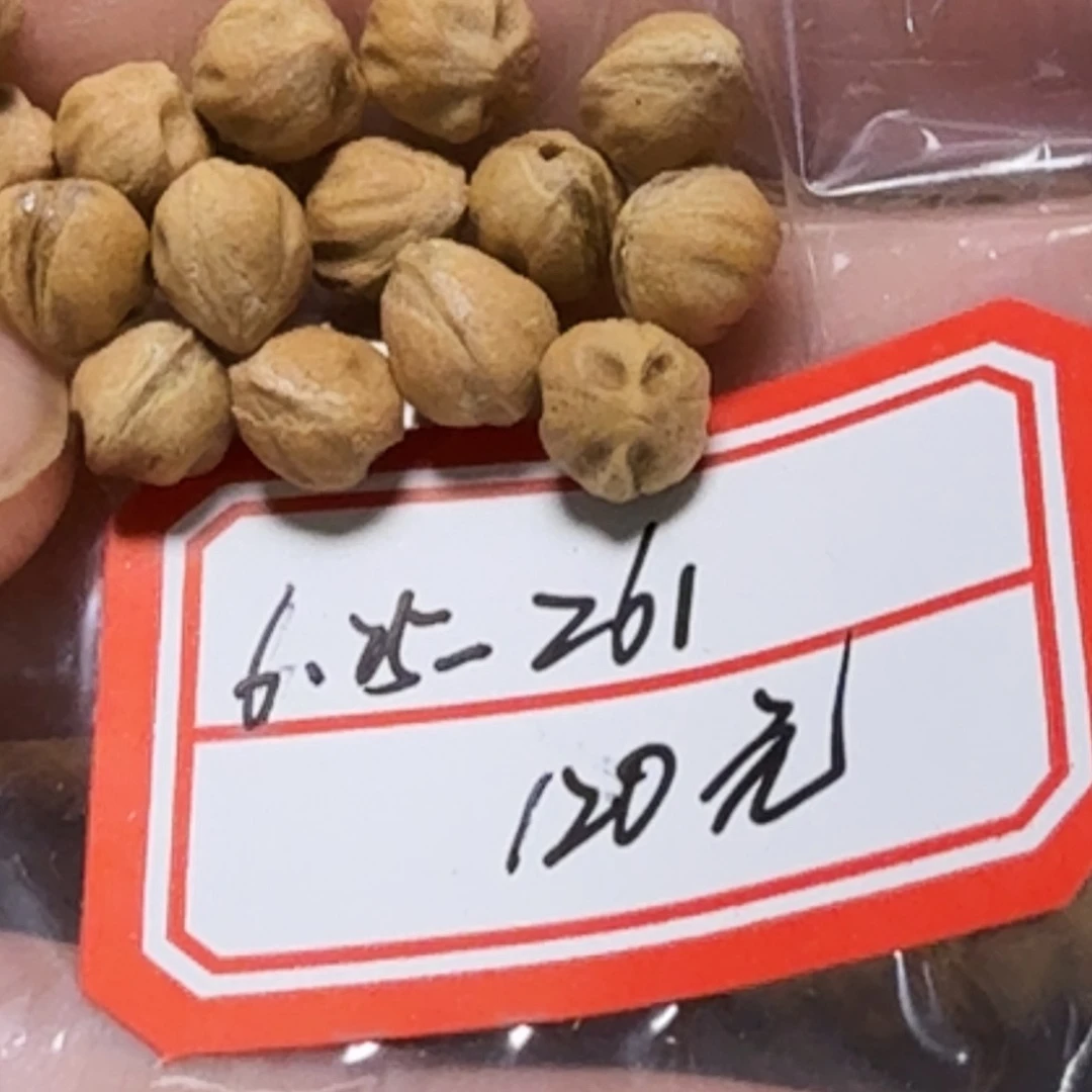 吊坠柏香籽/百香籽