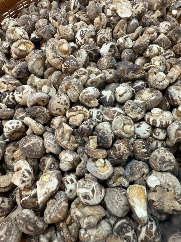 实肉小花菇木头菇