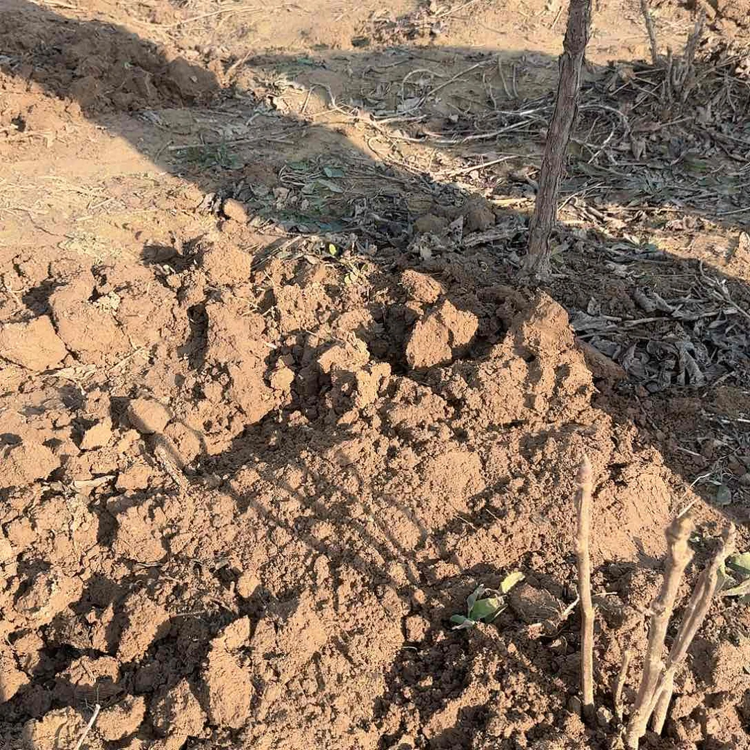 完全开放1111111111