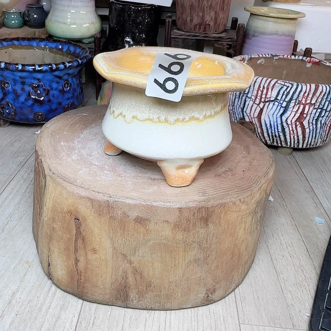 满38送两个拇指花盆