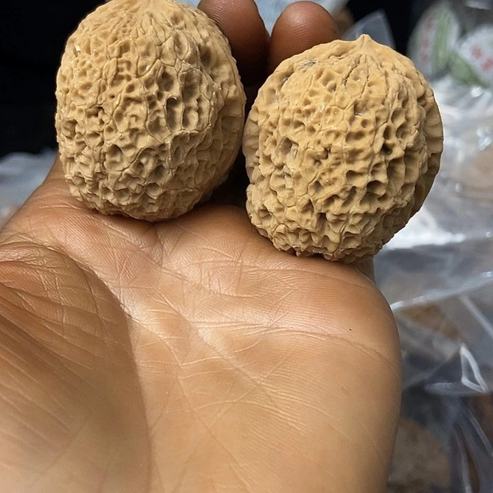 把件文玩核桃云南铁核桃基地53