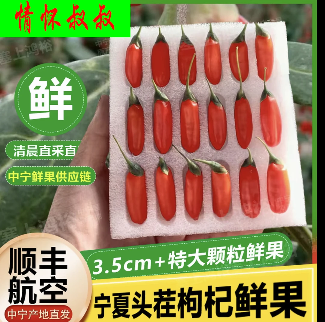 2025年宁夏头茬大颗粒鲜枸杞