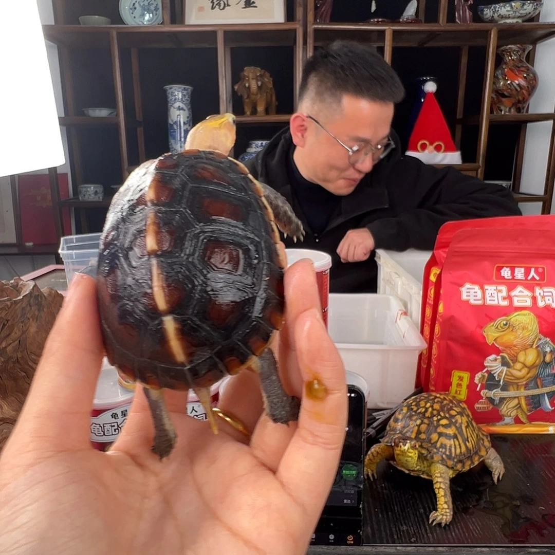 母爱****户安啦啦啦啦啦啦啦