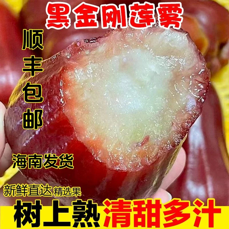 海南黑金刚莲雾树上熟精品大果新鲜孕妇水果现摘