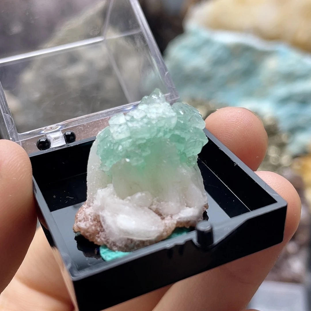 1萤石（处理）绿鱼眼