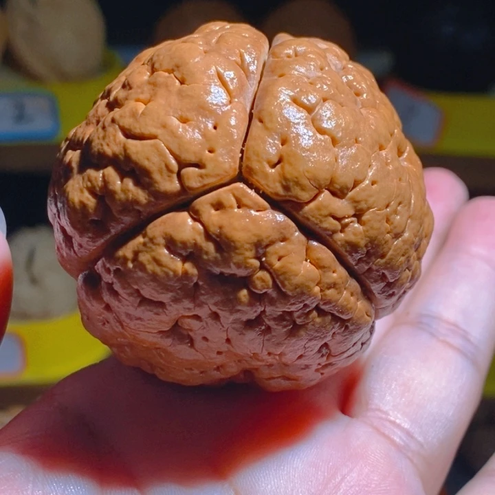 野生三班脑纹大金刚5259