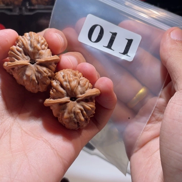 晨***文玩核桃吊坠011九月元宝