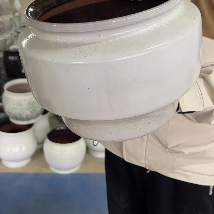 正品高度20厘米口径20