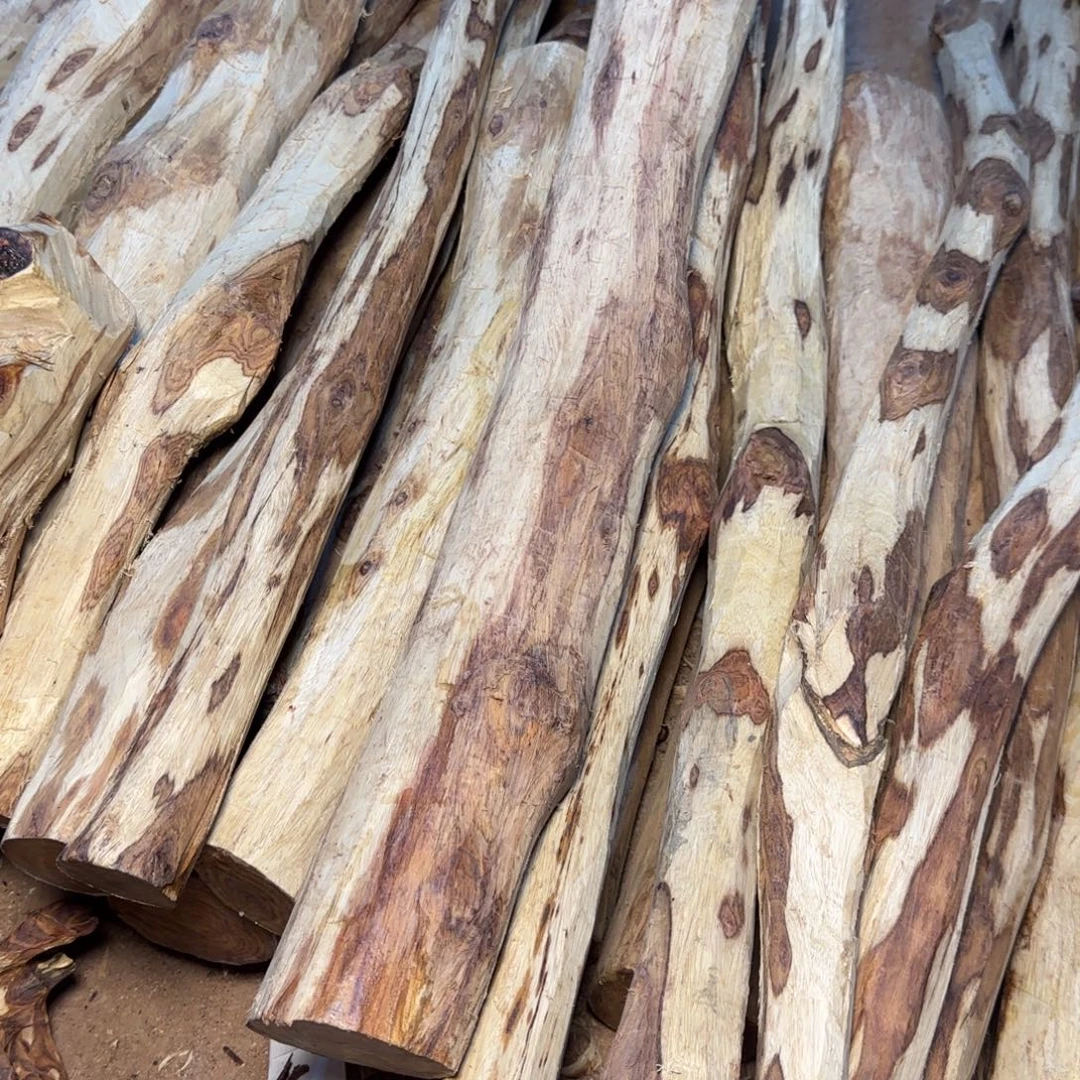 陈***豪黄花梨/降香黄檀海南黄花梨