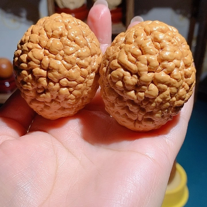 野生三瓣脑纹大金刚45
