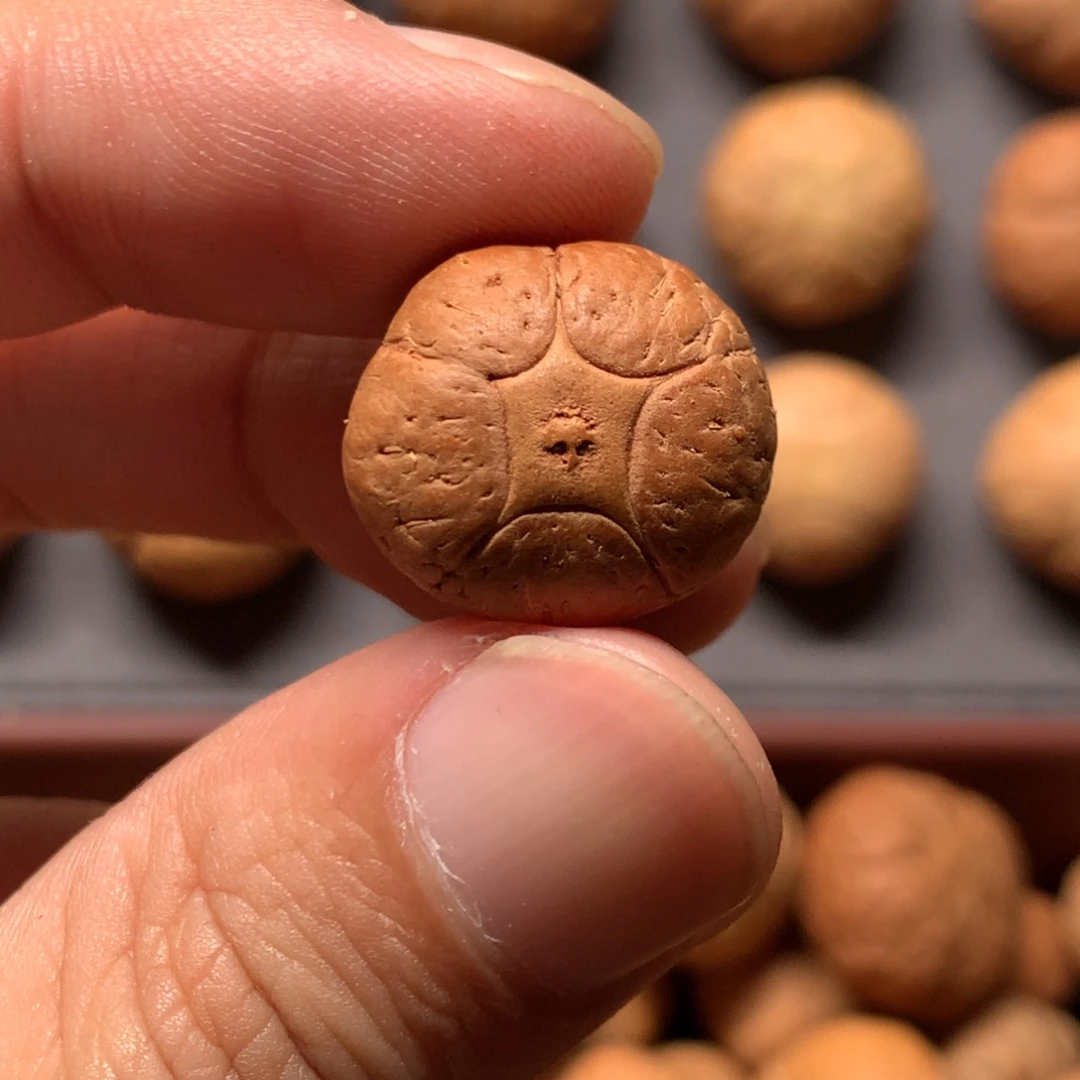 凤眼菩提吊坠18mm尼泊尔五星