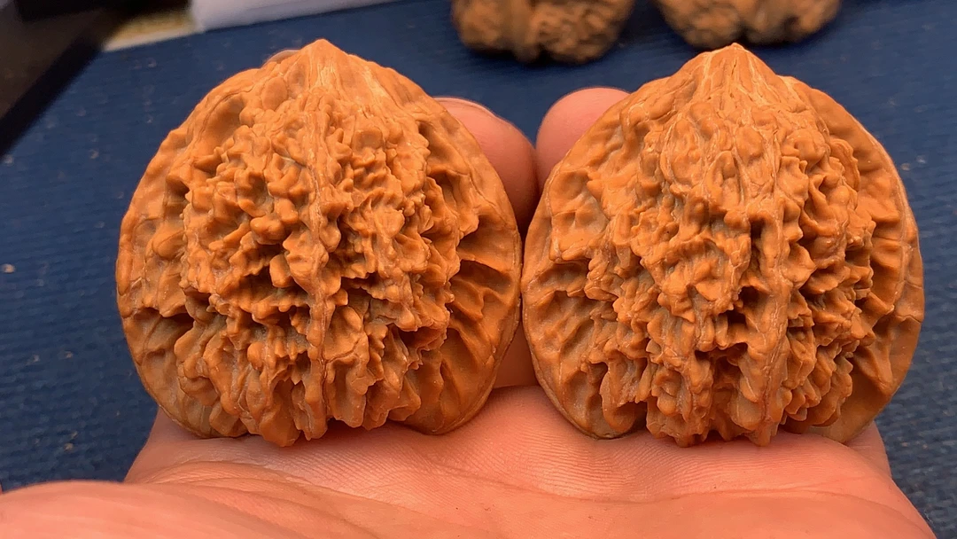 满天星狮子头三棱核桃铁锤45-46手盘元宝手捻红狮子南瓜墩宫灯