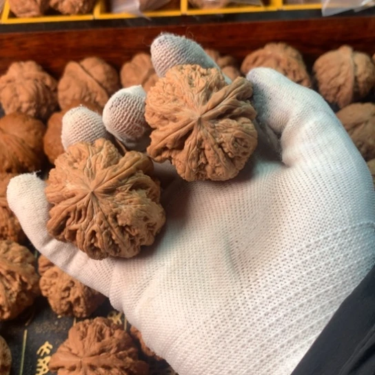 有***题大粗筋文玩核桃