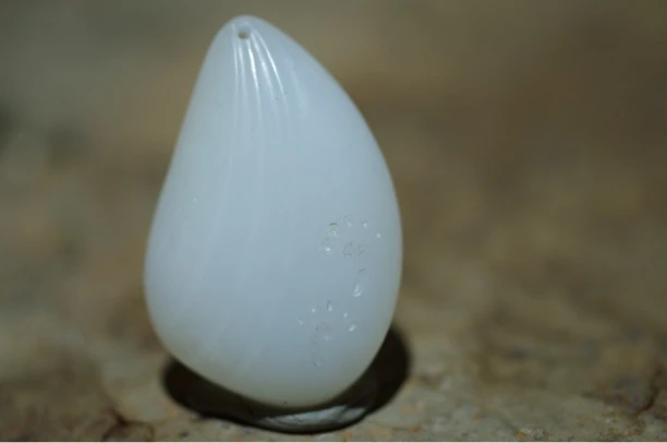 和田白玉圆雕挂坠吊坠女款古风百搭雕刻