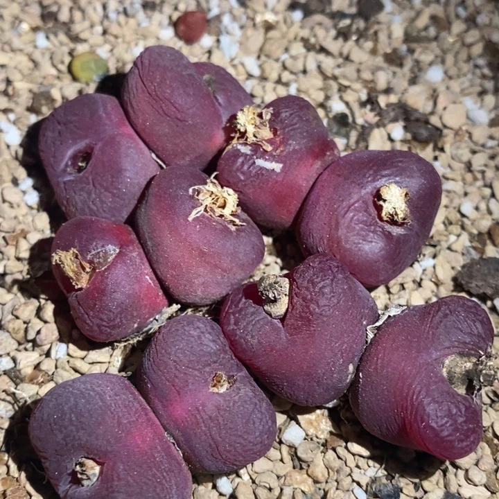 22237一组一组一组