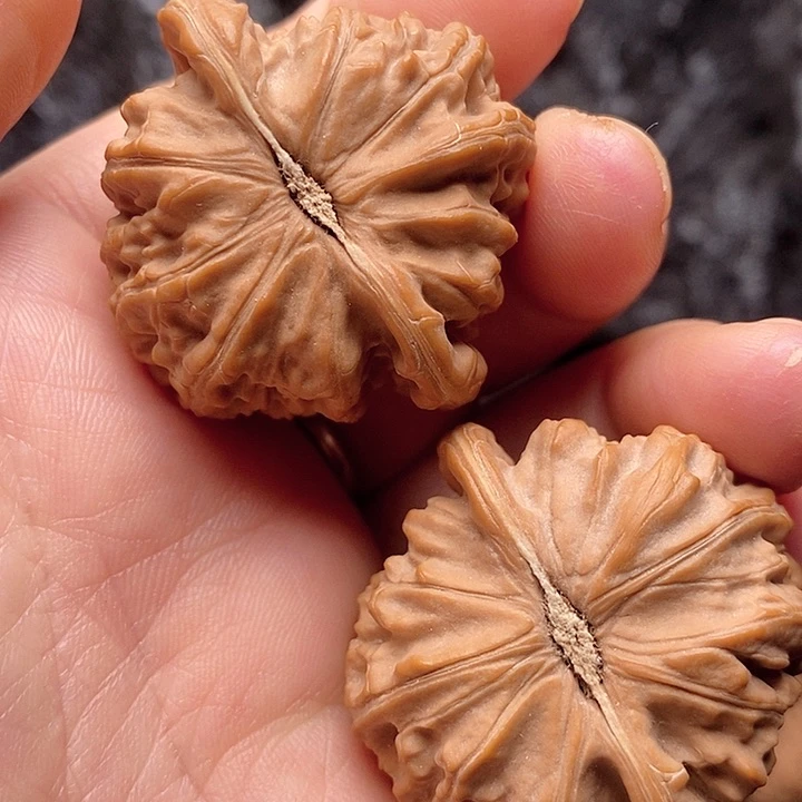 核桃粗筋40球体白狮子核桃