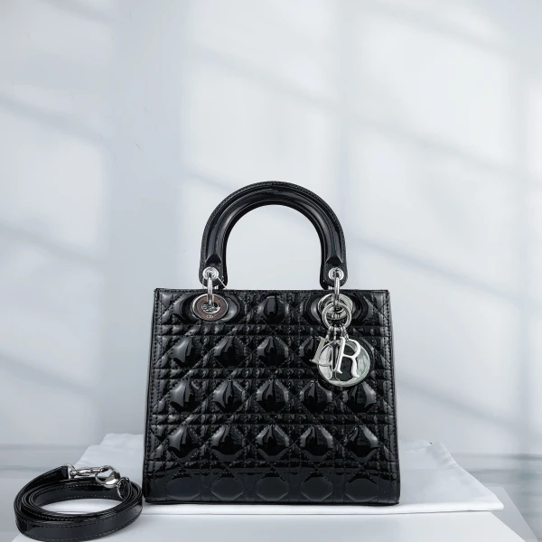 95新/迪奥/包包/250123WW0035