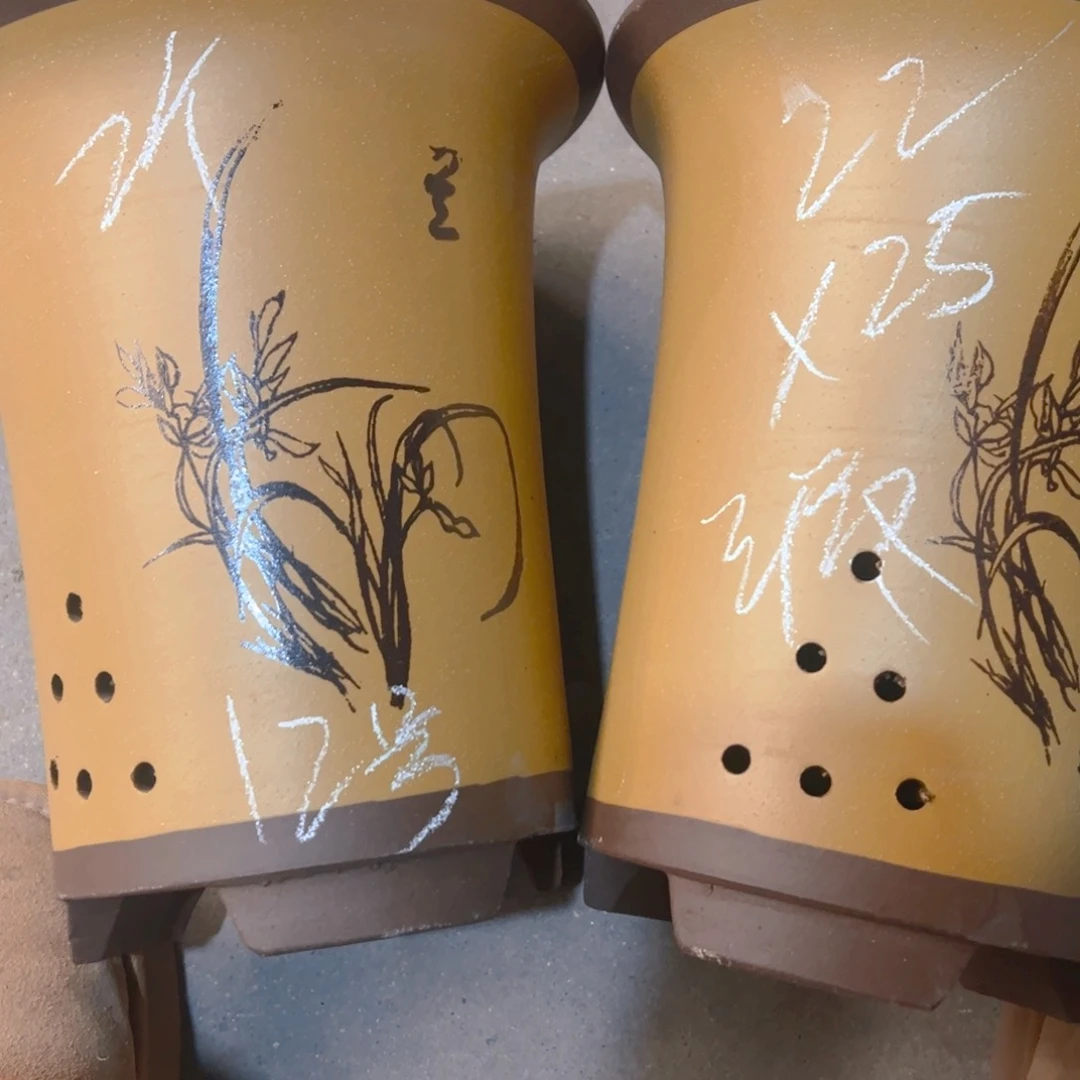 紫砂12……………………………………