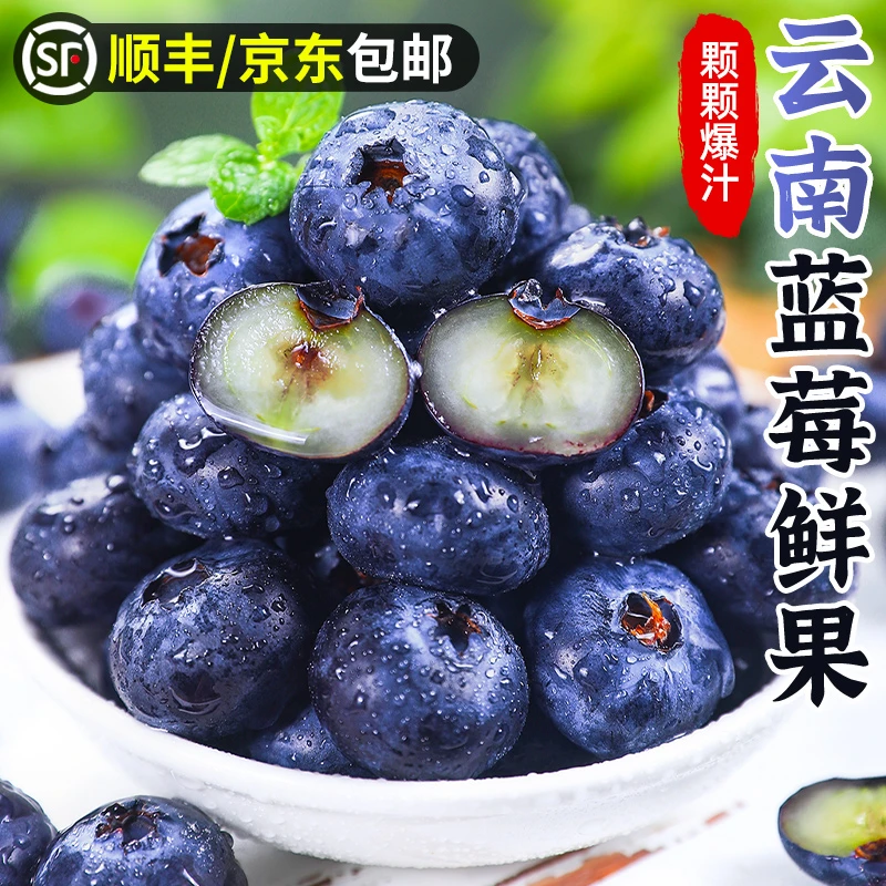 【顺丰/京东】云南蓝莓鲜果2-12盒当季新鲜水果怡颗甜莓鲜蓝莓香甜