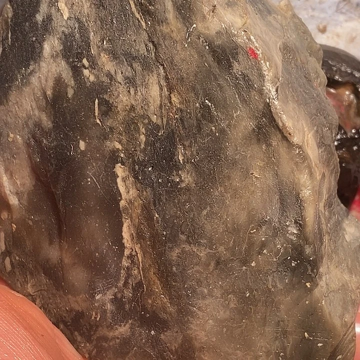 1***熊大叶紫檀（黑酸枝木类）