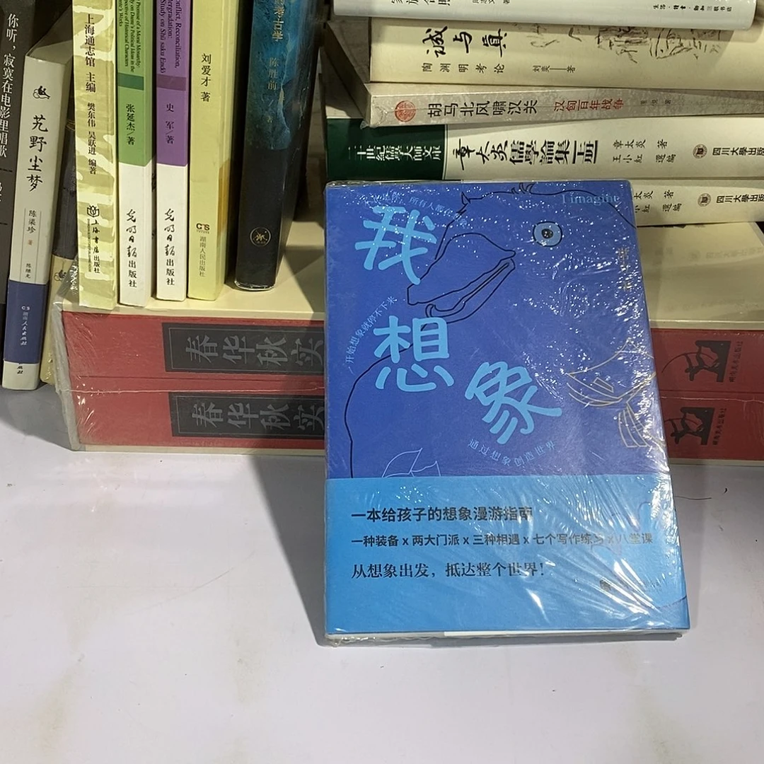 我想象…………………………