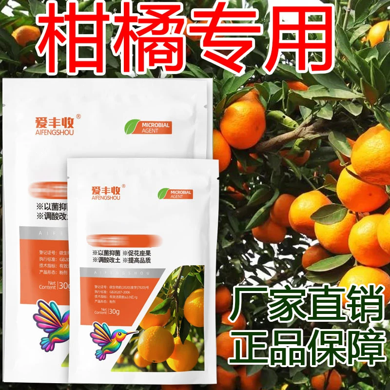 爱丰收柑橘地专用微生物菌剂叶面专用肥柑橘专用微生物肥料