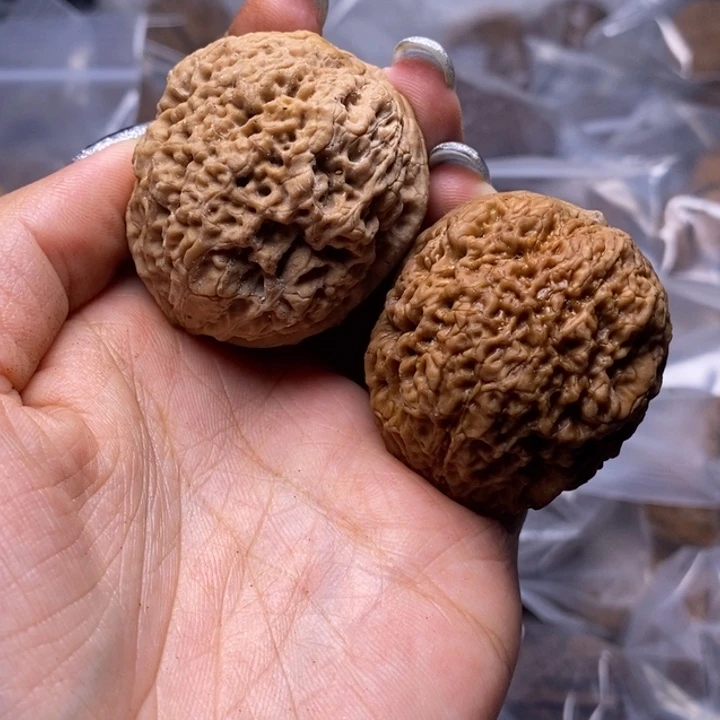 把件文玩核桃云南野生铁核桃55号41mm