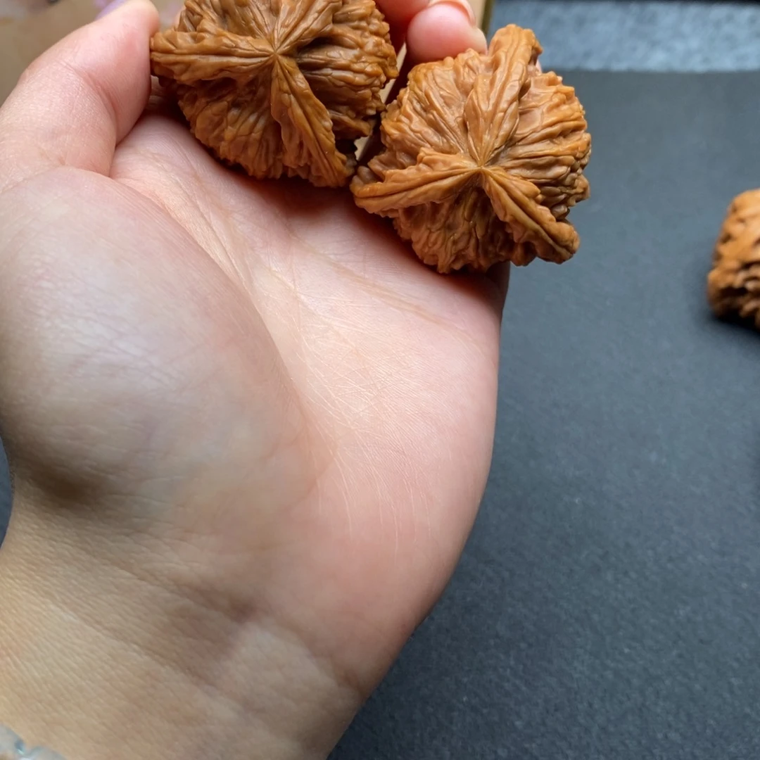 嘿*白狮子111111111