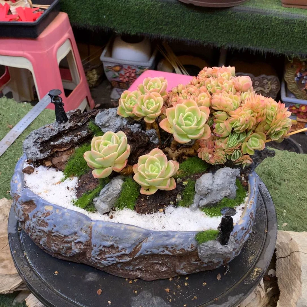 野***来多的多发飞飞飞飞