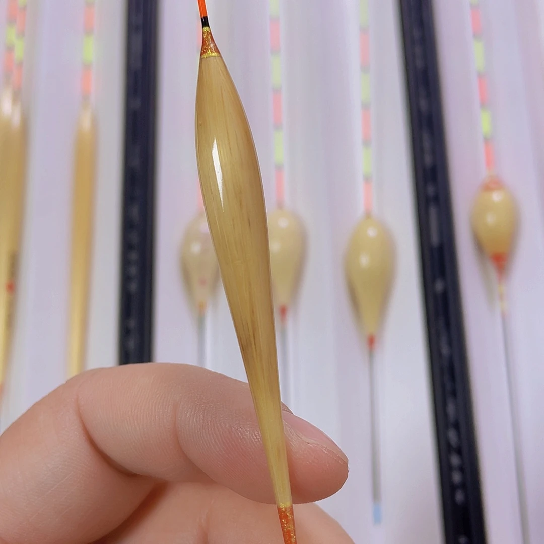 芦苇七色鸟B005的1号一支