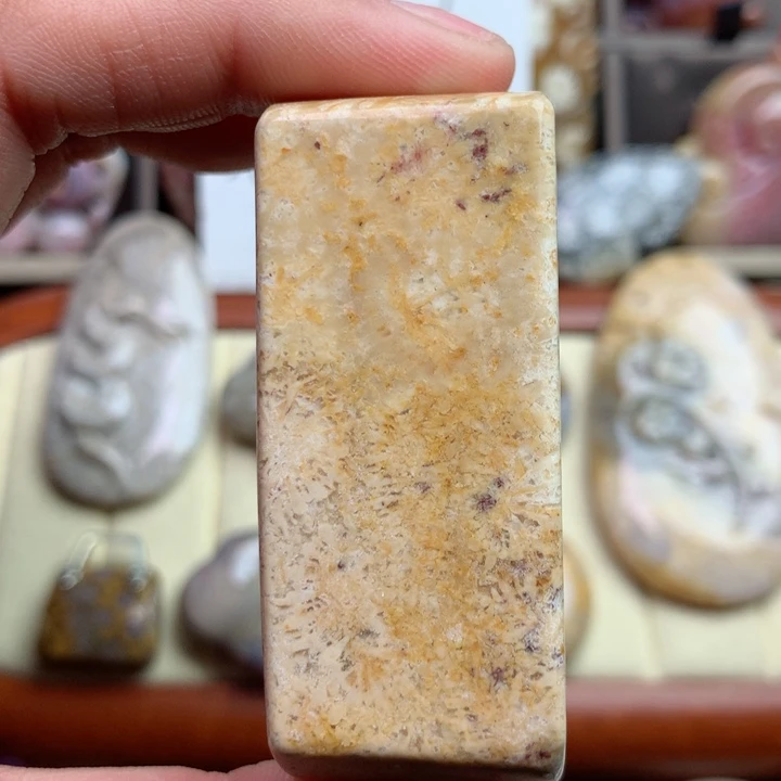 硅化珊瑚（珊瑚玉）颈饰未镶嵌