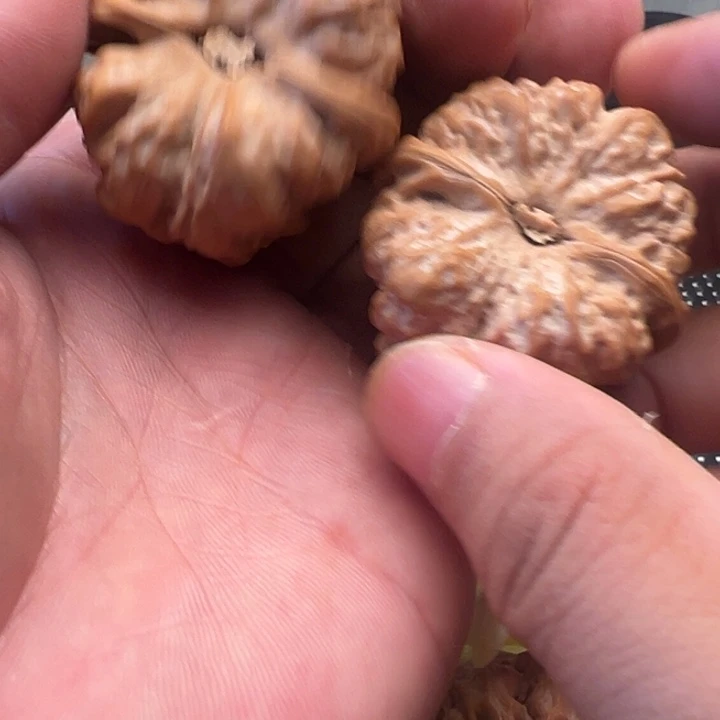 奢***藏文玩核桃把件文玩核桃文玩核桃