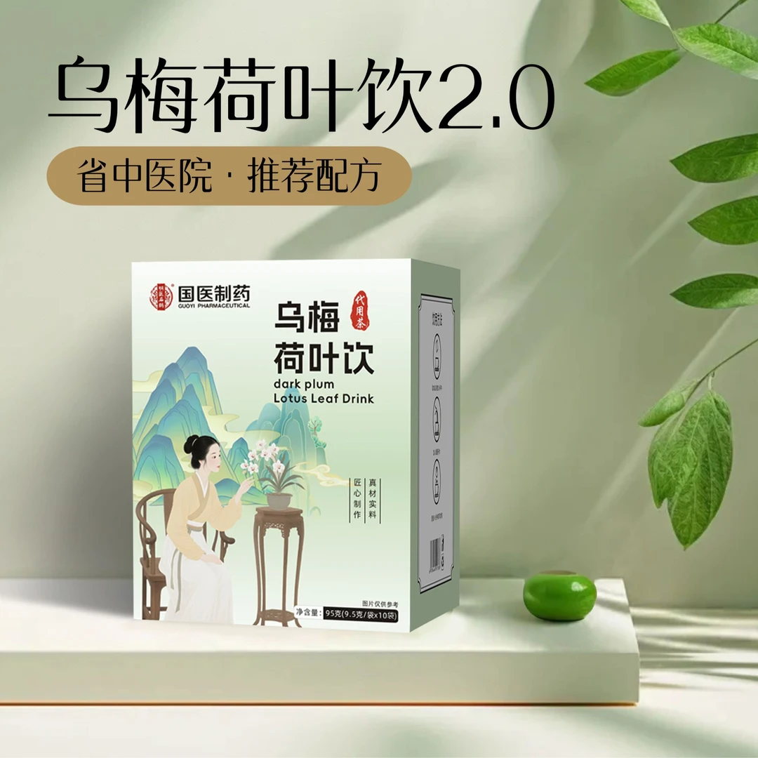 国医制药乌梅荷叶饮2.0升级款山楂荷叶茶乌梅汤陈皮饮料料包