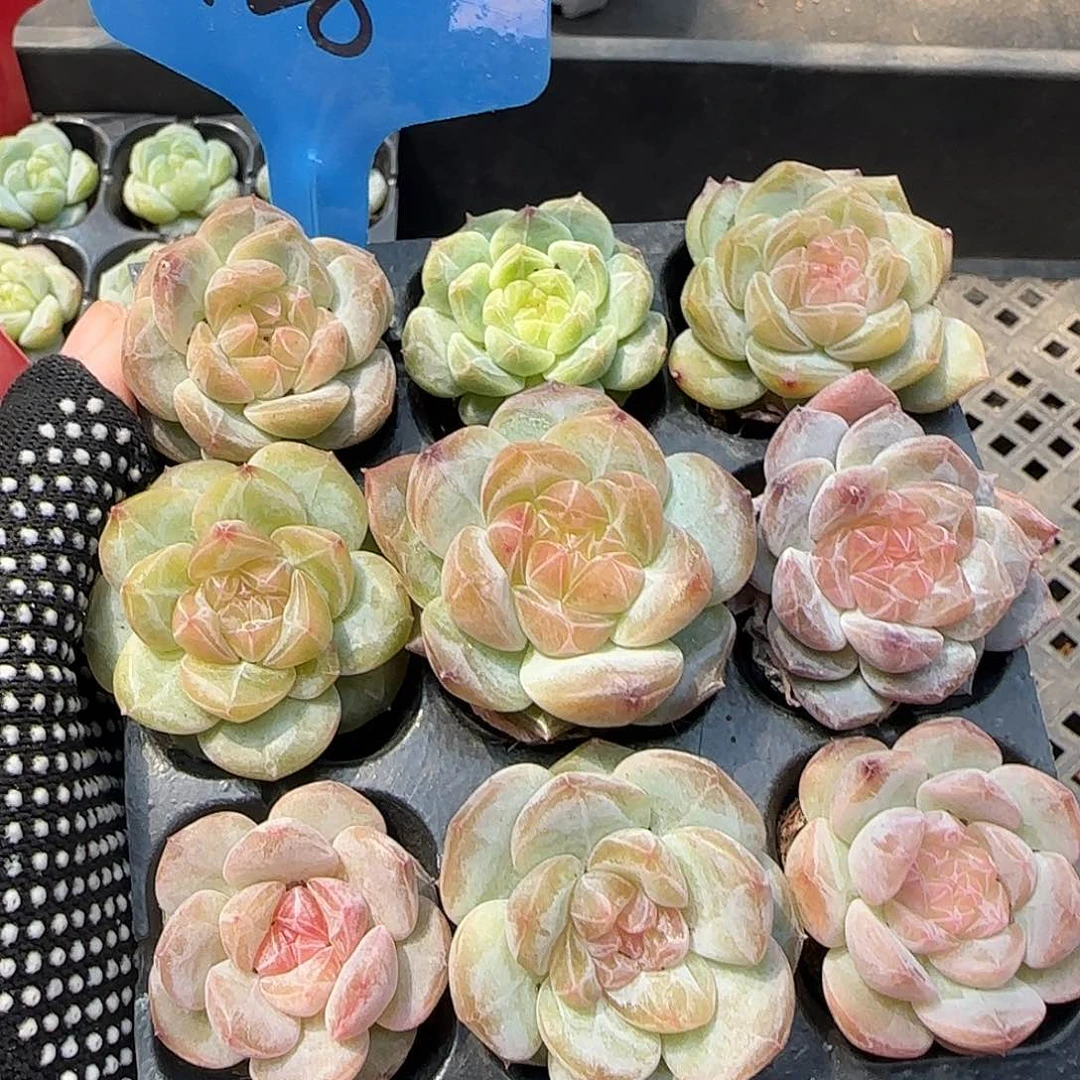 128哈哈哈哈哈哈哈哈